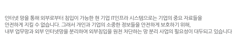 망 분리 종류